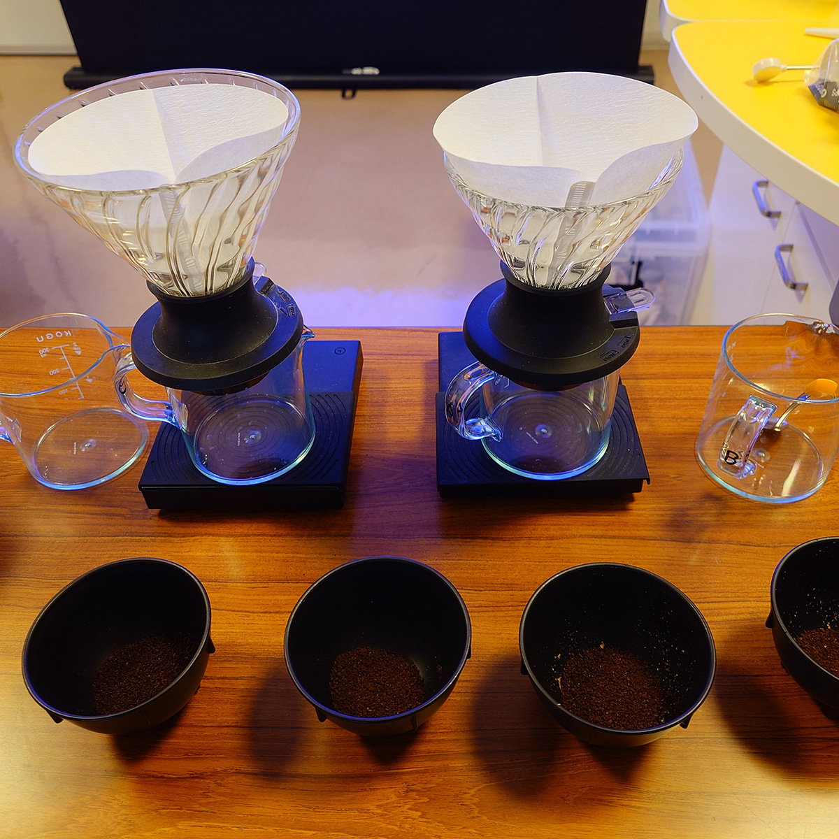 1月28日にねこたまを開催しました