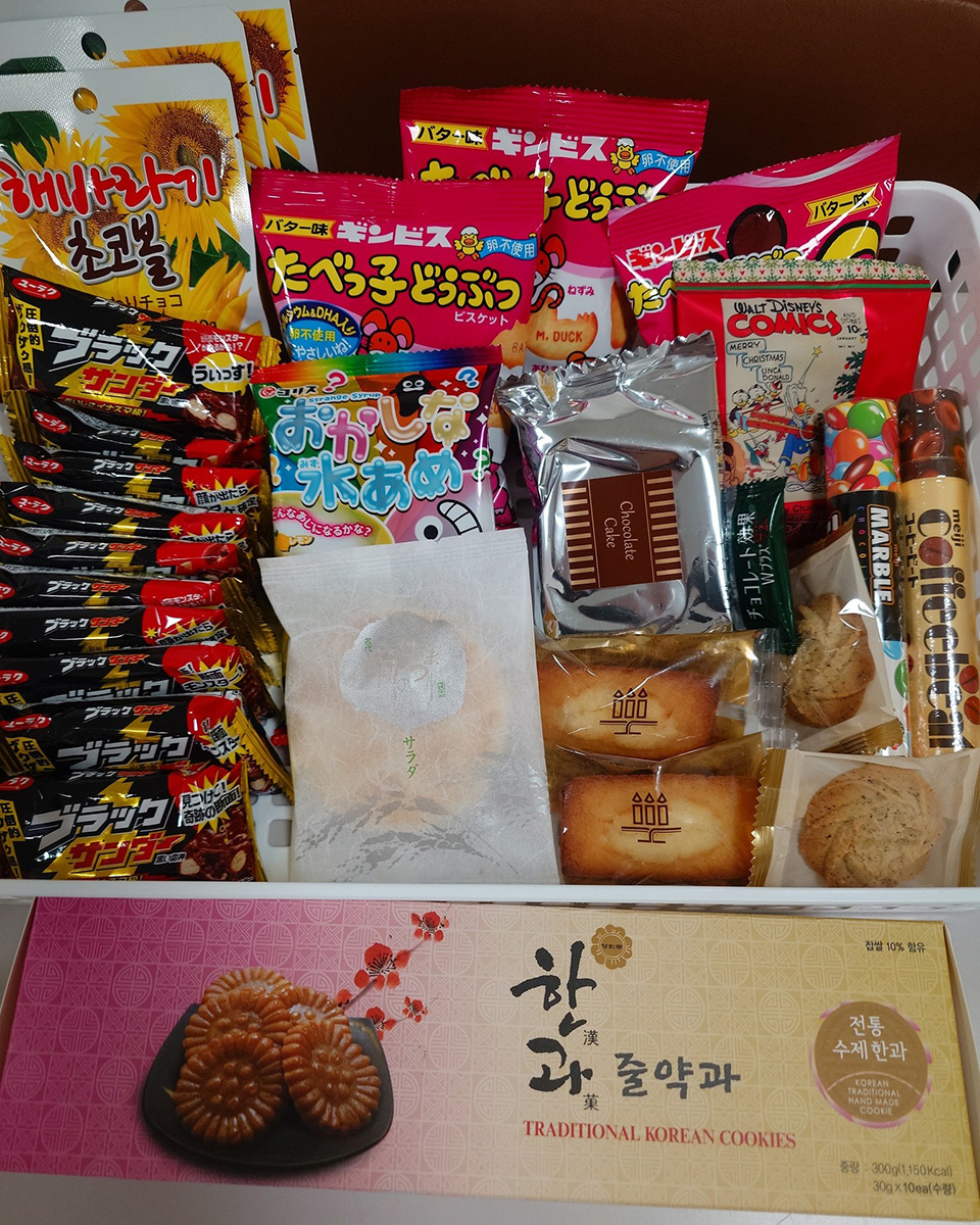 2月25日にねこたまを開催しました 2